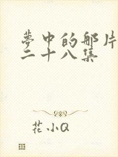 梦中的那片海第二十八集