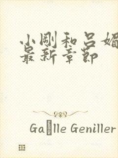 小刚和吕媚小说最新章节