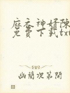 麻衣神婿陈黄皮免费下载txt封面