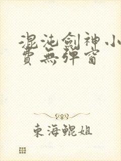 混沌剑神小说免费无弹窗