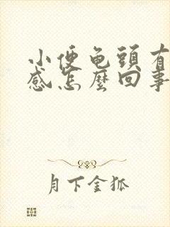 小便龟头有刺痛感怎么回事