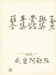 薛平贵与王宝钏全集55集免费观看