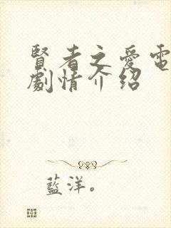 贤者之爱电视剧剧情介绍封面