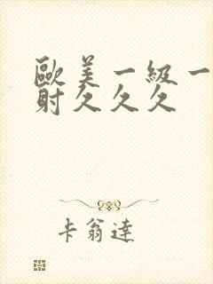 欧美一级一片内射久久久