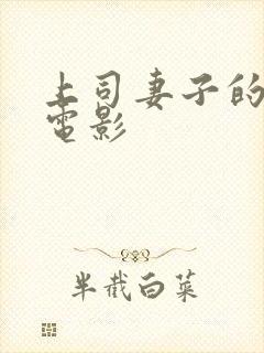 上司妻子的秘密电影封面