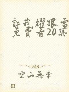 许我耀眼电视剧免费看20集