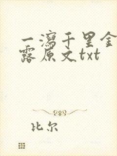 一泻千里金银花露原文txt