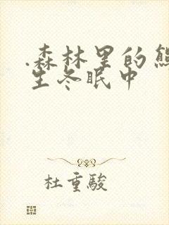 .森林里的熊先生冬眠中