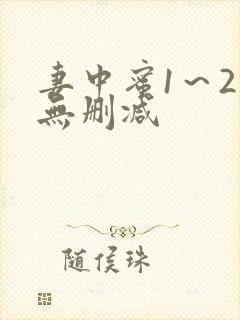 妻中蜜1～2集无删减封面