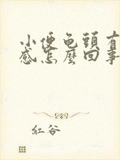 小便龟头有刺痛感怎么回事封面