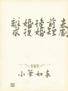 离婚后前夫跪着求复婚短剧封面