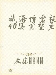 藏海传电视剧第40集完整免费观看封面