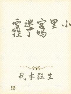 雪迷宫里小光牺牲了吗