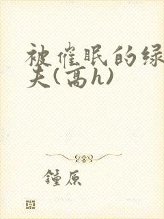 被催眠的绿帽夫夫(高h)