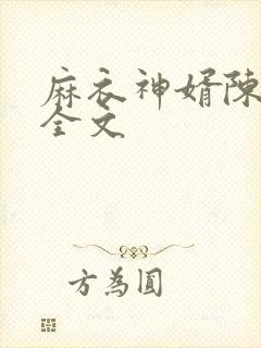 麻衣神婿陈黄皮全文封面