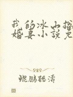 我的冰山总裁未婚妻小说免费阅读