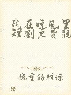 我在晚风里等你短剧免费观看