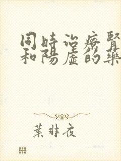 同时治疗肾阴虚和阳虚的药封面