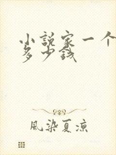 小说家一个月挣多少钱封面