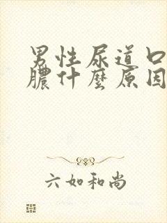 男性尿道口流白脓什么原因封面