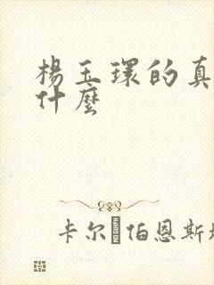 杨玉环的真名叫什么