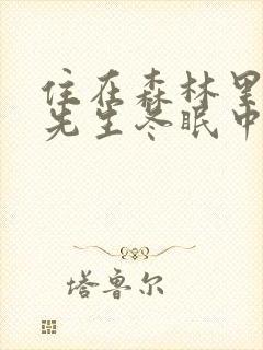 住在森林里的熊先生冬眠中漫画