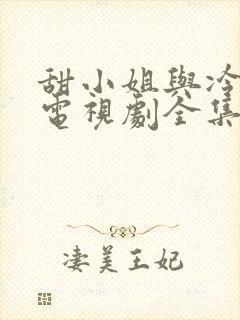 甜小姐与冷先生电视剧全集免费看