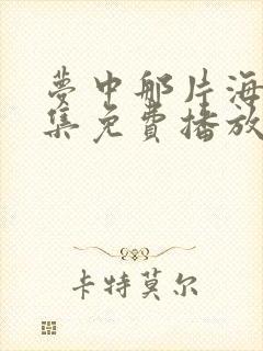 梦中那片海40集免费播放