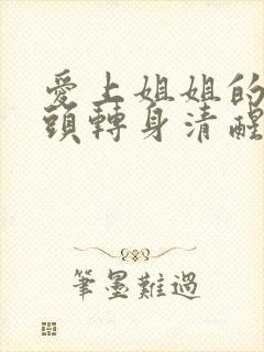 爱上姐姐的死对头转身清醒了小说封面