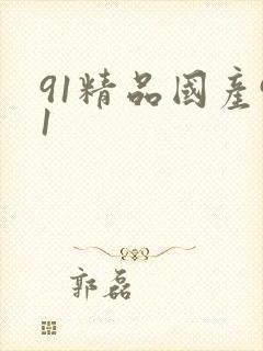 91精品国产91