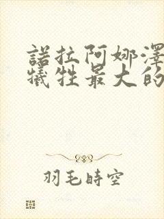 诺拉阿娜泽德尔牺牲最大的电影