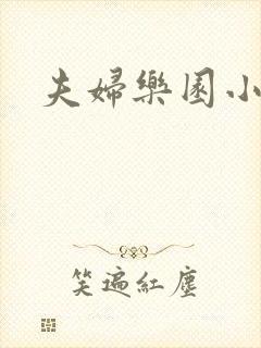 夫妇乐园小说封面