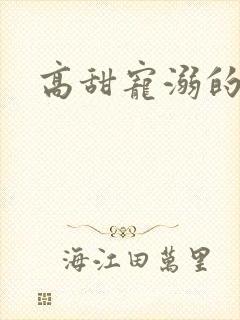 高甜宠溺的韩剧