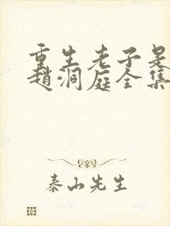 重生老子是皇帝赵洞庭全集封面