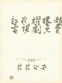 许我耀眼赵露思电视剧免费观看全集在线播放封面