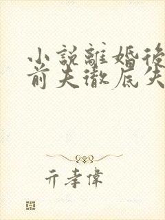 小说离婚后豪门前夫彻底失了控好看么