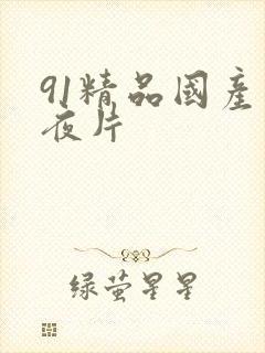 91精品国产午夜片封面