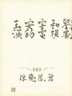 王安宇和刘浩存演的电视剧叫什么