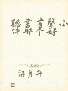 听书有声小说软件哪个好