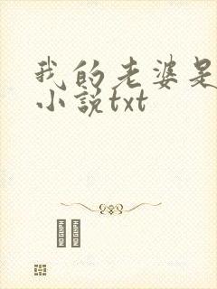 我的老婆是总裁小说txt