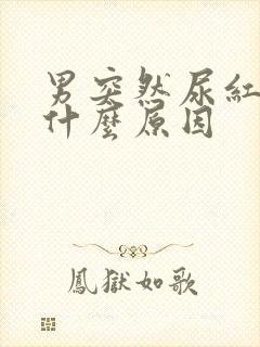 男突然尿红色是什么原因