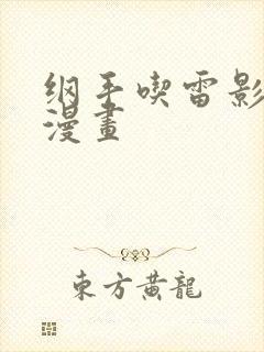 纲手吃雷影大狙漫画封面