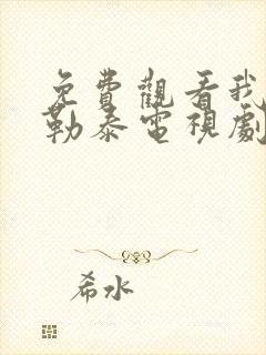 免费观看我的阿勒泰电视剧