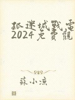 孤迷城战电视剧2024免费观看封面