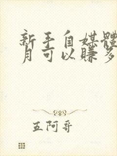 新手自媒体一个月可以赚多少