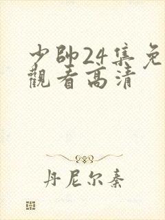 少帅24集免费观看高清