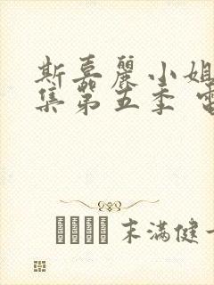 斯嘉丽小姐探案集第五季 电视剧封面