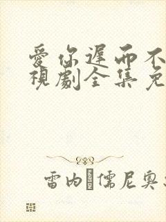 爱你迟而不晚电视剧全集免费播放