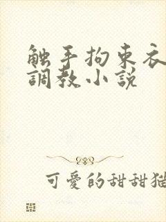 触手拘束衣淫堕调教小说