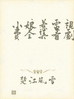 小娘惹电视剧免费全集看剧情第二十六集